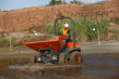Wozidło AUSA D 350 AHG - 8